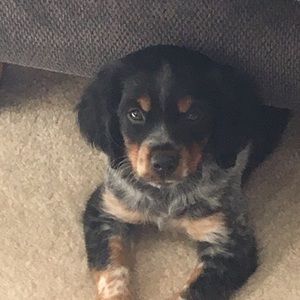 Meet your Posher, Debbie